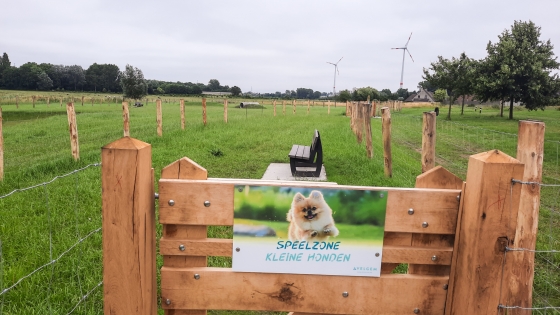 speelzone kleine honden